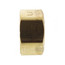 5/8" OD Brass Compression Cap (Lead Free)