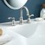 Traditional Spot Resist Brushed Nickel 2 Handle Low Arc Bathroom Faucet, WS84004SRN