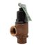 3/4" F82 Medium Capacity Pressure Relief Valve (75 PSI)