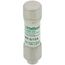 0.6 Amp Slo-Blo Time-Delay Class CC Current Limiting Fuse (600V)