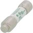 0.6 Amp Slo-Blo Time-Delay Class CC Current Limiting Fuse (600V)