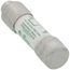 0.6 Amp Slo-Blo Time-Delay Class CC Current Limiting Fuse (600V)