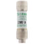 1 Amp Slo-Blo Time-Delay Class CC Current Limiting Fuse (600V)