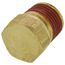 1/8" Brass Hex Head Plug