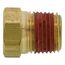 1/8" Brass Hex Head Plug