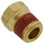1/8" Brass Hex Head Plug