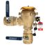 2" 765-QT-FZ Pressure Vacuum Breaker w/ Freeze Sensor