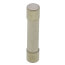 Ceramic Fuse 20 Amp Slow Blow