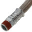 1" x 36" ChamFlex Hose Swivel MNPT x Fixed MNPT