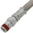 1" x 48" ChamFlex Hose Swivel MNPT x Fixed MNPT