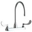 1100 Series Commercial Sink Faucet (Polished Chrome), 1100-GN8AE35-317AB