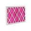 12" x 24" x 1" Color Changing Air Filter for Home & Pet Odors (MERV8)