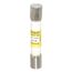 Cartridge Time Delay Fuse, G, 40 A, 10.41 mm Diameter 10 kA at DC & 100 kA at AC (RMS)
