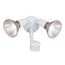 HALO Twin-Head Flood for PAR38 with Motion (White)