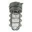 HALO VT100G Incandescent Vapor-Tight, 100W (Gray)
