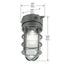 HALO VT100G Incandescent Vapor-Tight, 100W (Gray)