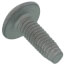 Truss Screw, CP-30580