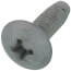 Truss Screw, CP-30580