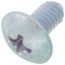 Truss Screw, CP-30580-JW