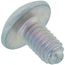Truss Screw, CP-30580-JW