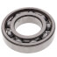 Bearing (Inboard)