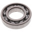 Bearing (Inboard)