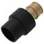 1-1/4" ProPEX x CPVC Socket LF Brass Adapter (CTS)