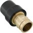 2" ProPEX x CPVC Socket LF Brass Adapter (CTS)