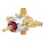 Sentinel Mark Ii CPV-PB Pressure Balanced Shower Valve (Expansion PEX)