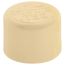 1/2" CTS CPVC Cap (Socket)