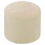 3/4" CTS CPVC Cap (Socket)