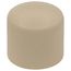1" CTS CPVC Cap (Socket)