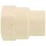 1/2" CTS CPVC Female Adapter w/ Gasket (Socket x NPSC)