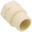 1/2" CTS CPVC Female Adapter w/ Gasket (Socket x NPSC)