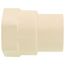 3/4" CTS CPVC Female Adapter w/ Gasket (Socket x NPSC)