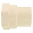 1" CTS CPVC Female Adapter w/ Gasket (Socket x NPSC)