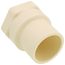 1" CTS CPVC Female Adapter w/ Gasket (Socket x NPSC)
