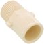 1/2" CTS CPVC Male Adapter (MIPT x Socket)