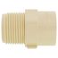 3/4" CTS CPVC Male Adapter (MIPT x Socket)