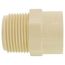 1" CTS CPVC Male Adapter (MIPT x Socket)