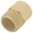 1-1/4" CTS CPVC Male Adapter (MIPT x Socket)