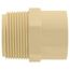 1-1/4" CTS CPVC Male Adapter (MIPT x Socket)