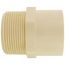1-1/2" CTS CPVC Male Adapter (MIPT x Socket)