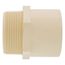 2" CTS CPVC Male Adapter (MIPT x Socket)