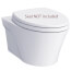 AP 1.28/0.9 gpf Dual Flush Wall Mounted Elongated Toilet Bowl Only w/ CeFiONtect, Less Seat (Cotton White)