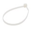 8" Nylon Standard Cable Ties, Natural (Pack of 100)