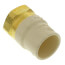 1" CPVC x Female Brass Adapter (Lead Free)