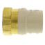 1" CPVC x Female Brass Adapter (Lead Free)