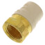 1" CPVC x Female Brass Adapter (Lead Free)