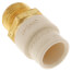 1/2" CPVC x Male Brass Adapter (Lead Free)
